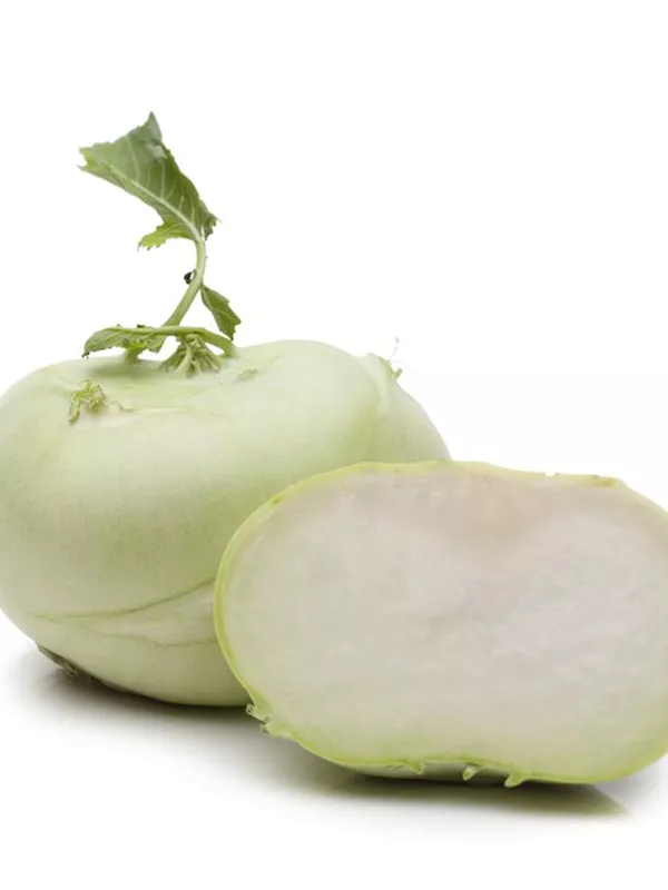 Kohlrabi weiß 6er Pack Jungpflanzen